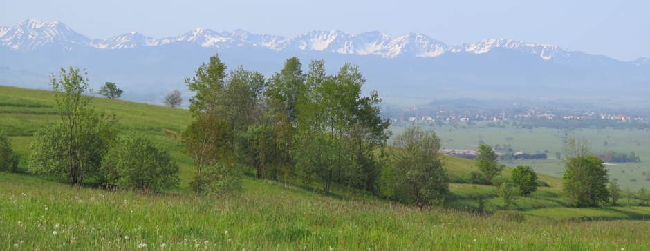 Z Bukowiny-Osiedle do Ludźmierza