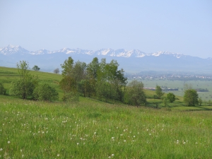 Z Bukowiny-Osiedle do Ludźmierza