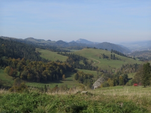 Z Jaworek na Przełęcz Rozdziela
