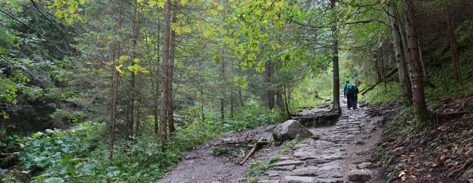 Dolina Strążyska i Wodospad Siklawica