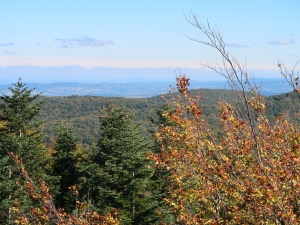 Na Ferdel z Wapiennego