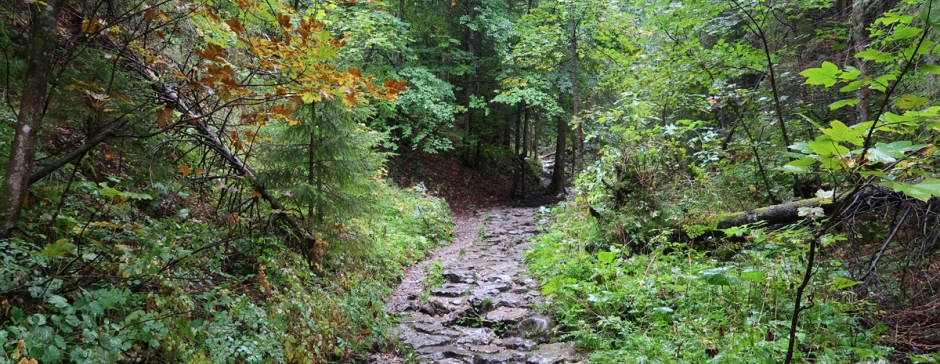 Do Doliny ku Dziurze