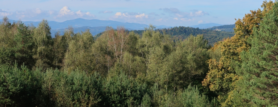 Do Bacówki na Jamnej