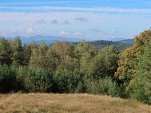 Do Bacówki na Jamnej