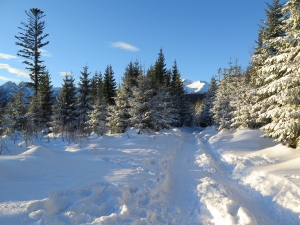 Rusinowa Polana z Wierch Porońca