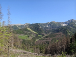 Dolina Strążyska - Sarnia Skała - Ścieżka nad Reglami - Kuźnice