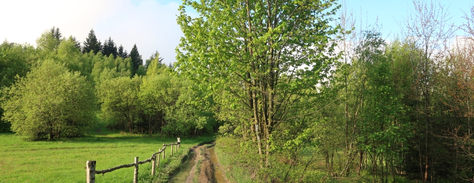 Z Koskowej Góry do Jabconiowej
