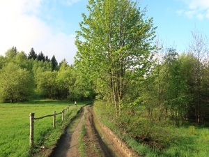 Z Koskowej Góry do Jabconiowej
