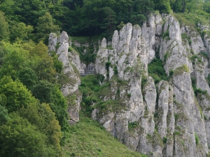 Dolina Prądnika